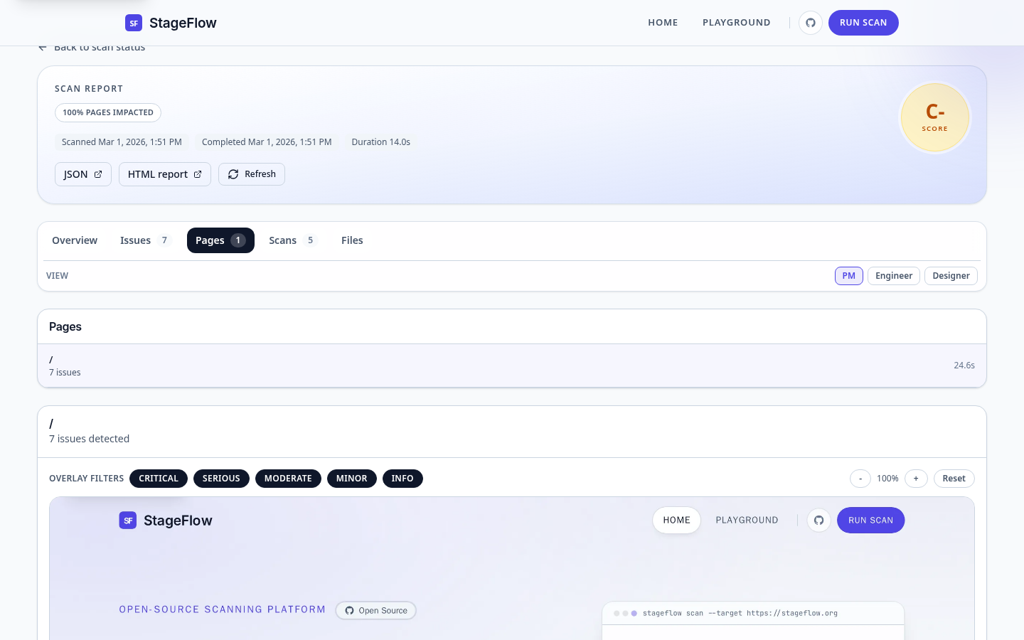 Pages evidence view with an annotated screenshot and issue markers.